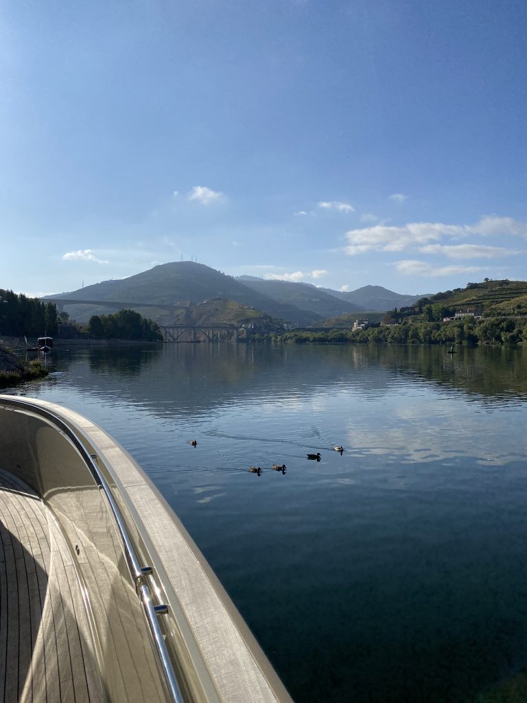 Invictus Cruises - O Douro
