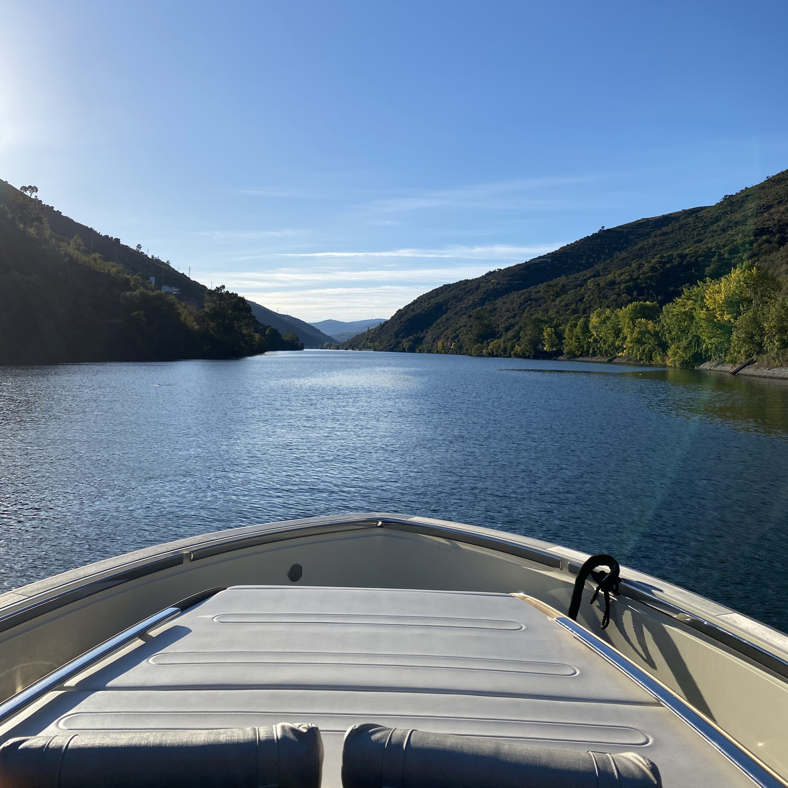 Invictus Cruises - Pelo Douro Acima